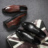 TNV Vista Leather 191 (Brown)