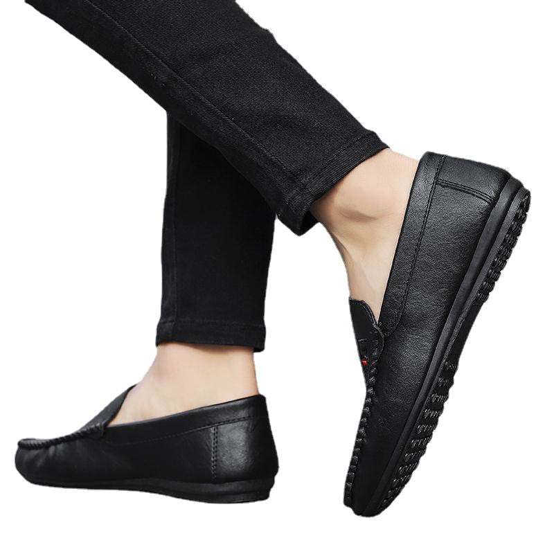 TNV Verve Slides 209