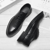 TNV Legacy Shoes 293