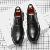 TNV Legacy Shoes 293