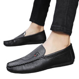 TNV Verve Slides 209